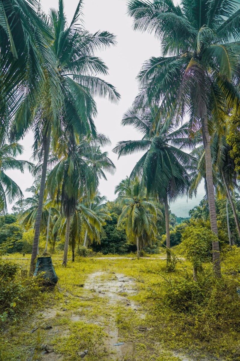 泰国珍贝岛,圆你一次轻奢岛主梦!