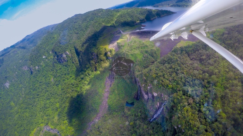 斐济追逐野生海豚|守护爱情|探访月亮礁海豚湾|海陆空玩转斐济