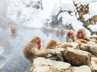 北海道厅旧本厅舍