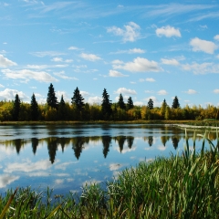 Lake and sky reflection in elk island national park, edmonton, alberta