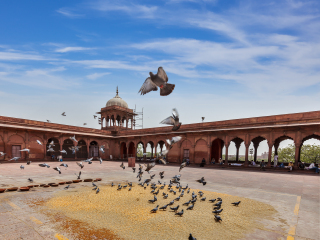 阿格拉贾玛清真寺