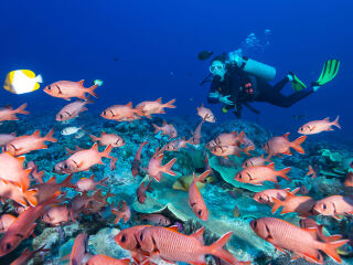 胜利沉船潜水点