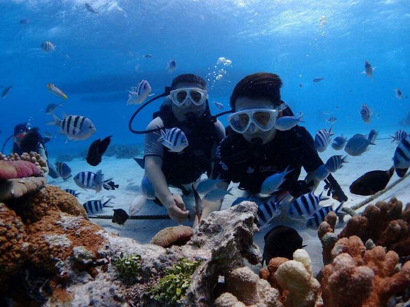 塞班岛蓝洞+万岁崖+圣母洞+鳄鱼头海滩4晚5日