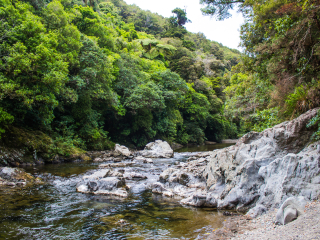 凯托克地区公园