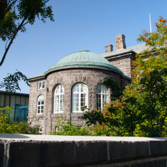 Icelandic Parliament main building called Althingi, Reykjavik, Iceland