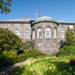 Icelandic Parliament main building called Althingi, Reykjavik, Iceland
