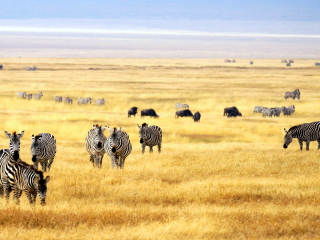 内罗毕国家公园