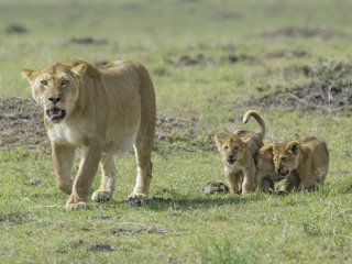 内罗毕国家公园