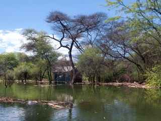 巴林戈湖国家公园