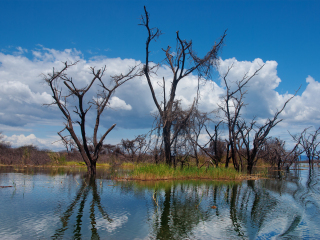 巴林戈湖国家公园