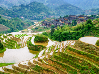 九龙五虎观景台