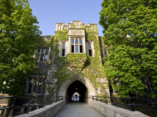 多伦多大学