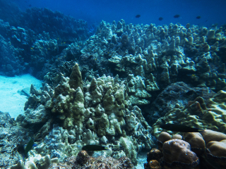 兰卡威水底世界