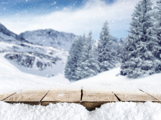 萨克森瑞士国家公园