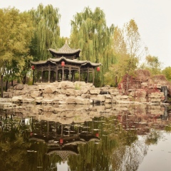 景点模块 