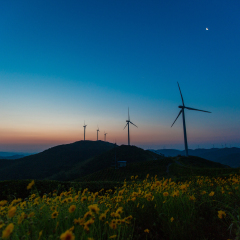 宁波逐野精品民宿