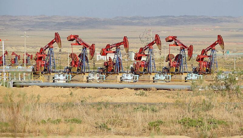 年以前,由于工作的原因,我曾经去过新疆的南疆,到过库尔勒,库车,轮台