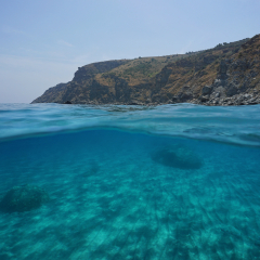 Coastal cliff and sand underwater, split view above and below water surface, Mediterranean sea, Marine reserve of Cerbere Banyuls, Pyrenees Orientales, France