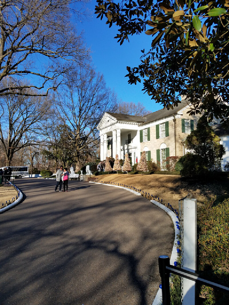 雅园归来话猫王_美国游记_途牛