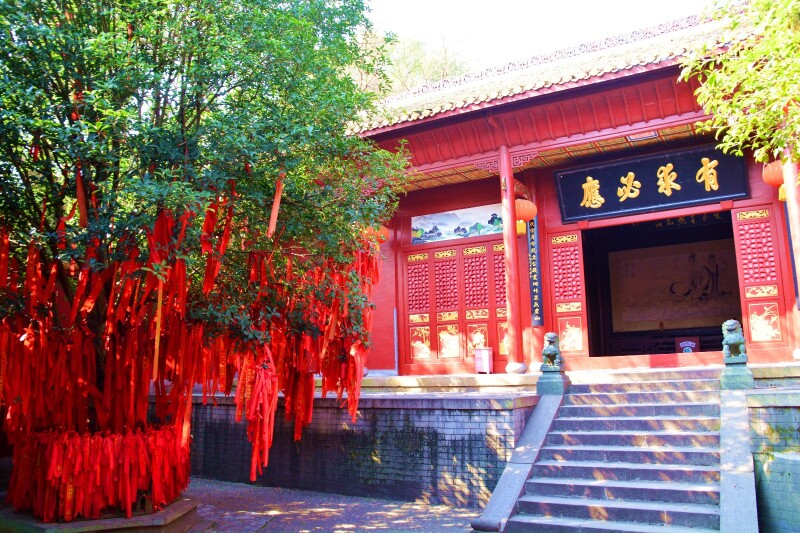 夏宁葆去岳阳楼洞庭湖旅游