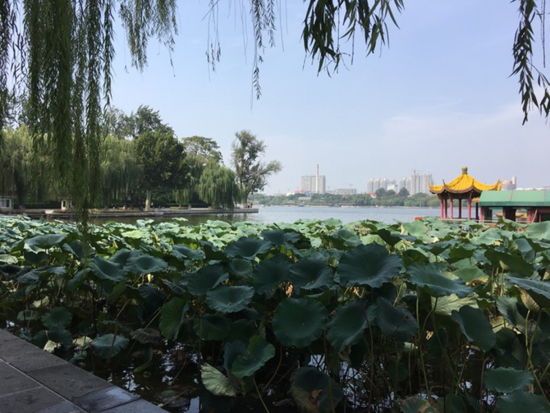 大明湖1日遊_濟南大明湖公園遊記_途牛