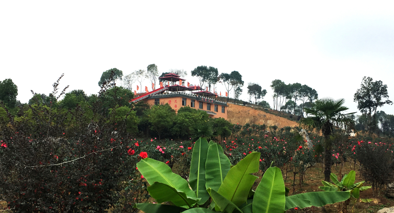 武汉新田园风光景区-江夏花海石林