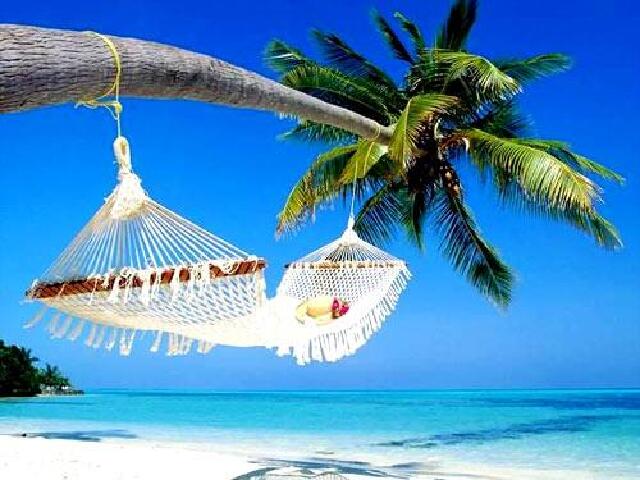 马尔代夫神仙珊瑚岛6-7日自助游 四晚水屋+私