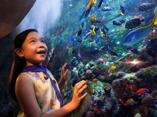 三亚·亚特兰蒂斯失落的空间水族馆