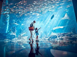 三亚·亚特兰蒂斯失落的空间水族馆