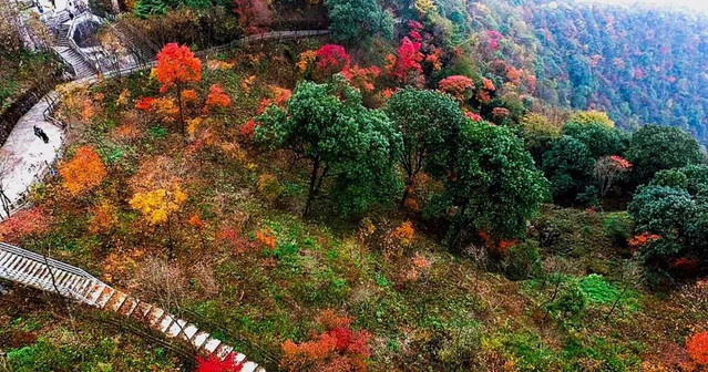 又到红叶漫山时 看过这个地方的红叶 你的秋天才不算被辜负 九皇山 攻略游记 途牛