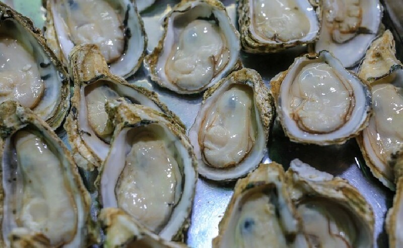 生蚝看起来鲜嫩有亮泽,蒜蓉炭烤或者蒸都