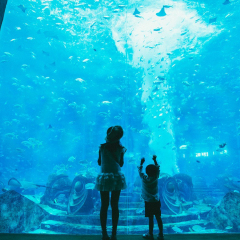 三亚·亚特兰蒂斯失落的空间水族馆