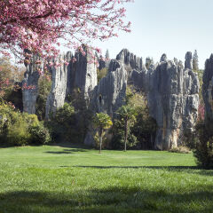Stone Forest, Kunming, China