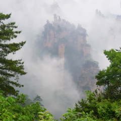 Fairy dispersing flowers platform in "Avatar mountains", Zhangjiajie National Park