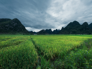 临桂景区