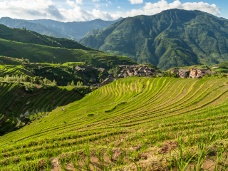 九龙五虎观景台
