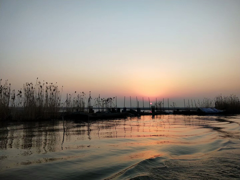 江苏高邮湖芦苇荡湿地生态美景美食休闲一日游