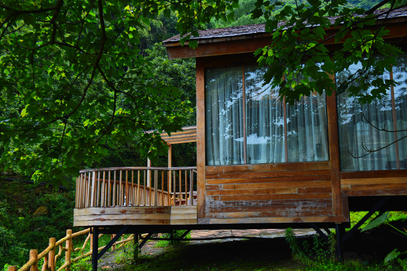 增城二龙山态林山居的田园生活