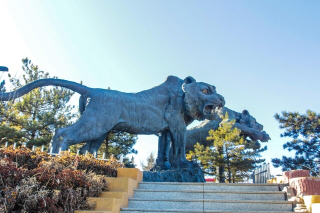 5时),附近就午餐,下午游览老虎山(2时)