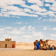 Sahara Berber with Camels Erg Chebbi Morocco