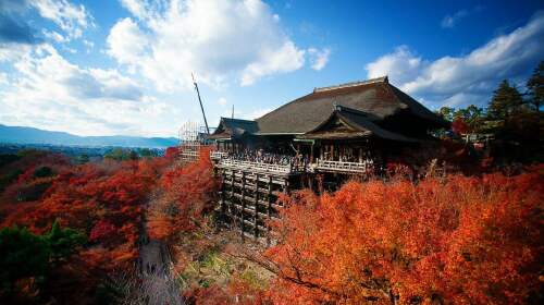 日本大阪+奈良+富士山+东京+本州5晚6日游 含