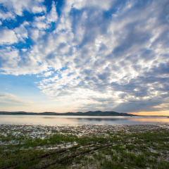China Hebei Bashang grassland Lightning lake scenery