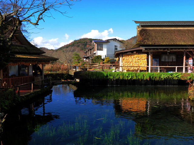 日本东京-富士-京都-奈良-大阪三乐园7日 暑期