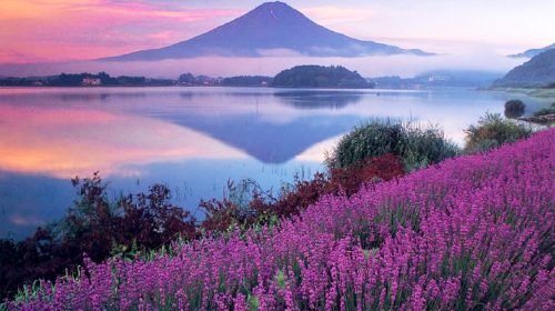 日本东京-富士-京都-奈良-大阪三乐园7日 暑期