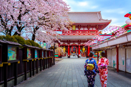 <日本东京-大阪-京都-箱根6或7日游>双点进出，AB本州深度 全跟团酒店升级，CD东阪双自由且酒店连住 白川乡，EF6天双自由双古都