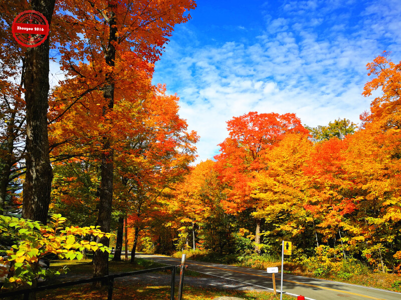 途牛首发# 情迷加拿大魁北克赏枫之旅