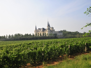 北京张裕爱斐堡国际酒庄