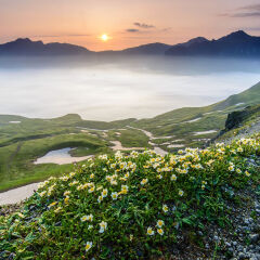 长白上花海日出