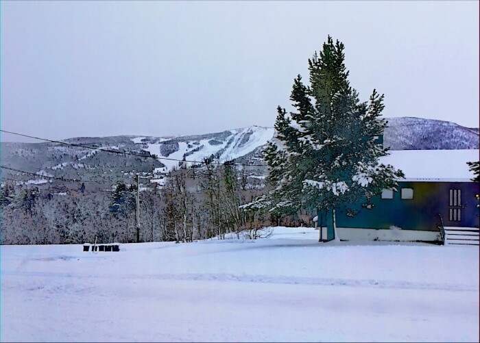 这是冬季封山前唯一穿越挪威的森林,斯堪的纳山的旅游大巴,据说要穿过