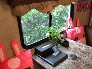 崇明东平森林公园